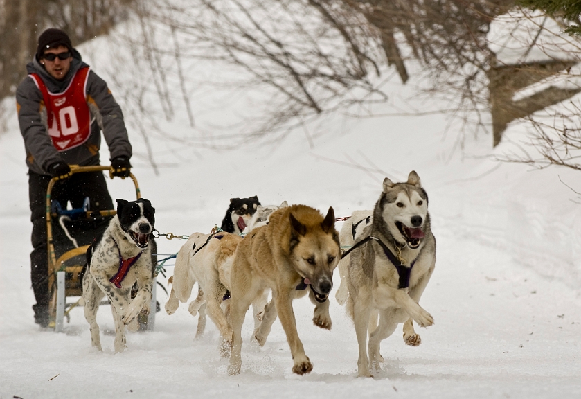 2009-03-14, Competition de traineaux a chiens au Bec-scie (132130).jpg - Dans le parcours